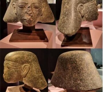 FB IMG 1770416994738 360x320